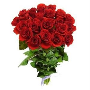24 Red Roses