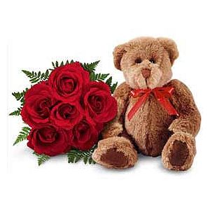 6 Rose & Teddy
