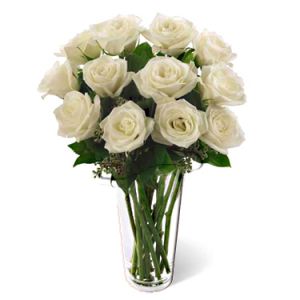 12 White Roses