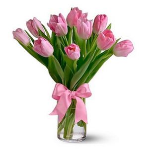 Pink Tulips